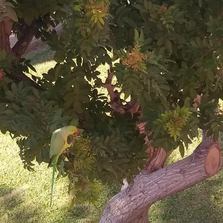 Lejlighed Atlantico - 1 Avec Place De Parking Privative -