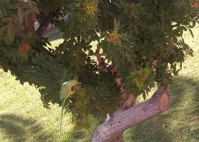 Lejlighed Atlantico - 1 Avec Place De Parking Privative -